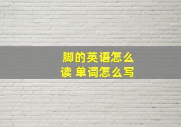 脚的英语怎么读 单词怎么写